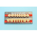 Major zęby kompozytowe boczne 8szt