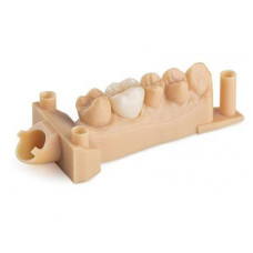Żywica do drukarki 3D Dental Model V2 1l