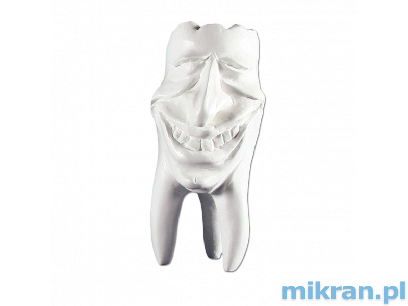 Zęby gipsowe Hinrichs tooth collection ''Mike''