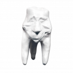 Zęby gipsowe Hinrichs tooth collection ''Clement''