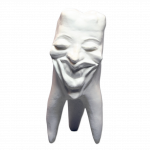 Zęby gipsowe Hinrichs tooth collection ''Marylin''