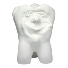 Zęby gipsowe Hinrichs tooth collection ''Dickie''