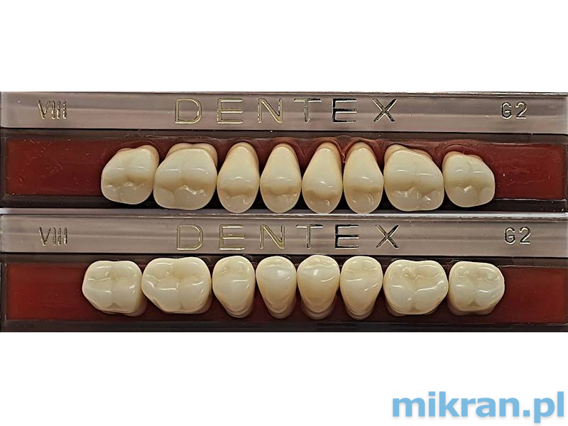 Zęby boczne Dentex 8szt