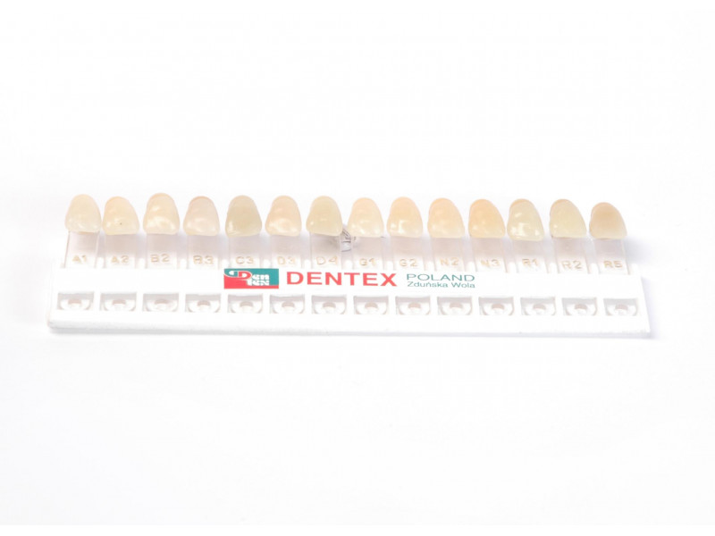 Kolornik zębów Dentex