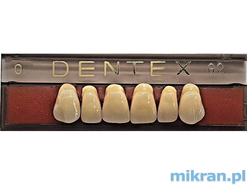 Zęby przednie Dentex 6szt