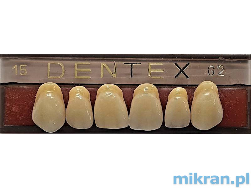 Zęby przednie Dentex 6szt