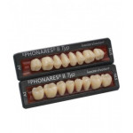Phonares Typ II zęby kompozytowe boczne. Dostępne na zamówienie