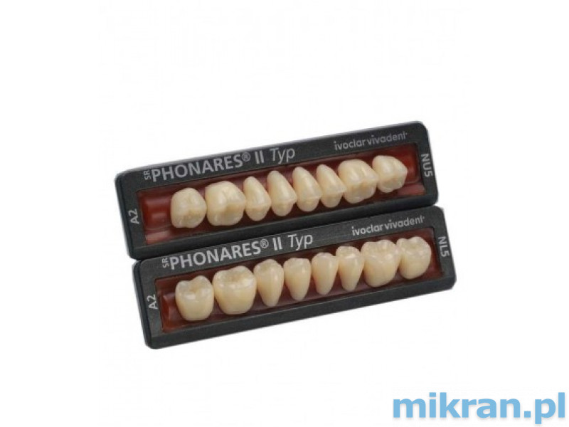 Phonares Typ II zęby kompozytowe boczne. Dostępne na zamówienie