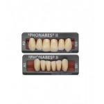 Phonares Typ II zęby kompozytowe przednie. Dostępne na zamówienie
