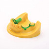 Resione Żywica 3D C01 Dental Castable 1kg
